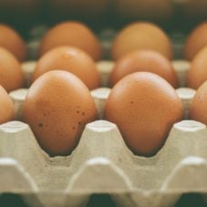 Picture of eggs.
