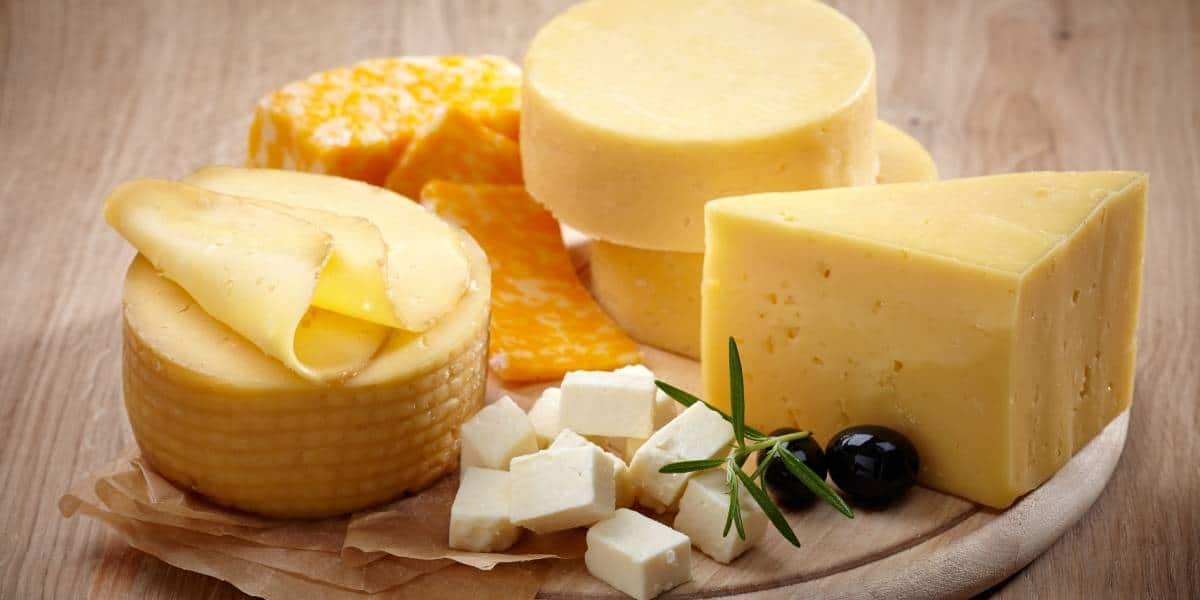 different kinds of cheese