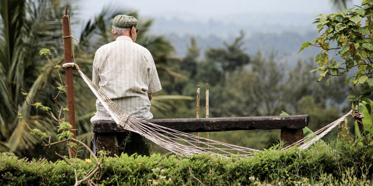 Berberina poderá também desacelerar o progresso da doença de alzeimer