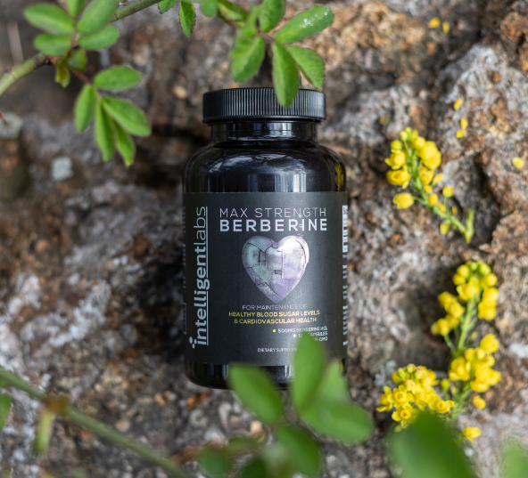 Picture of max strength berberine on a rock