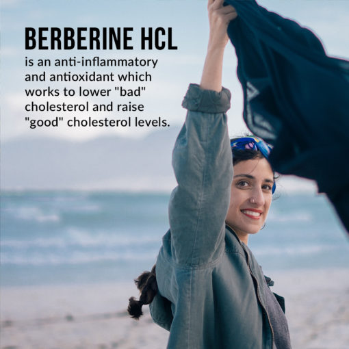 Max strength berberine HCL plus.