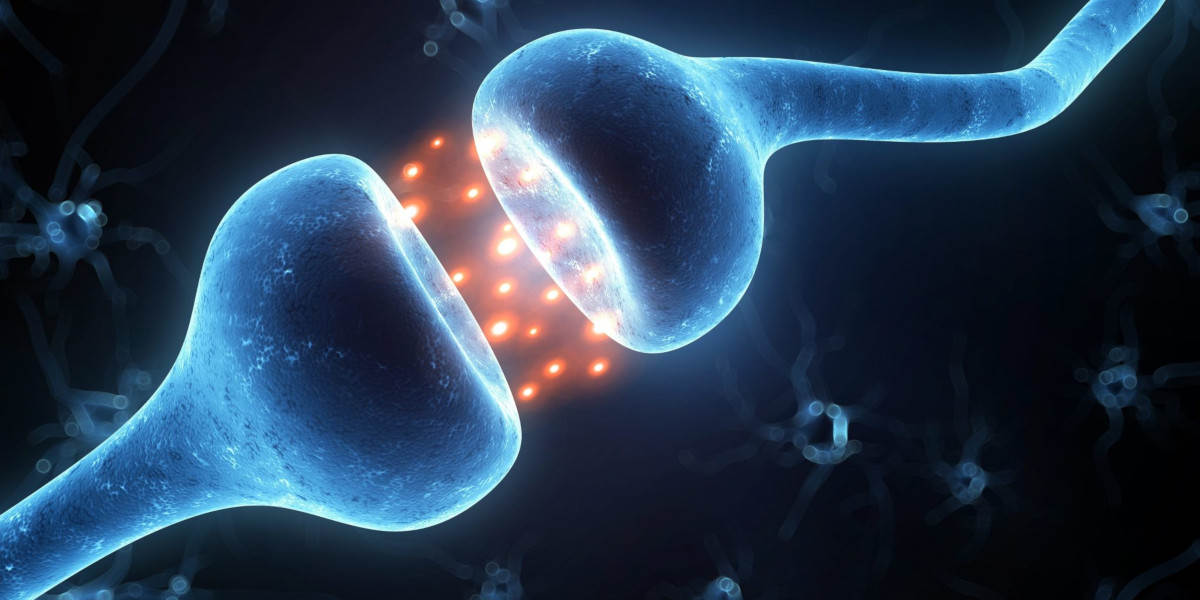 magnesium helps learning and brain function