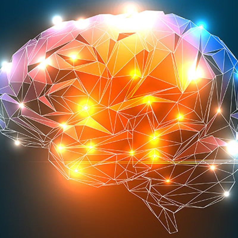 meriva-500-03 intelligent lab brain