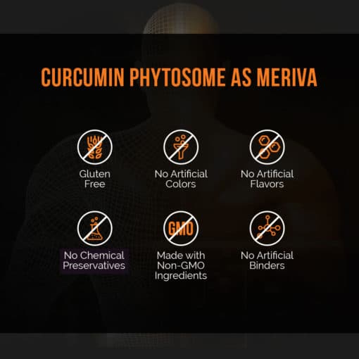 Meriva curcumin phytosome 500mg soy free capsules.