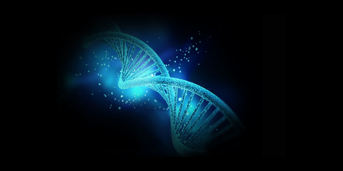 Is 5 MTHF The Best Form Of Folate Supplementation Intelligent Labs is-5-mthf-the-best-form-of-folate-supplementation-intelligent-labs