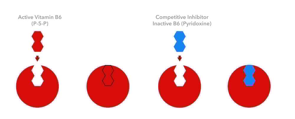 competitive inhibition