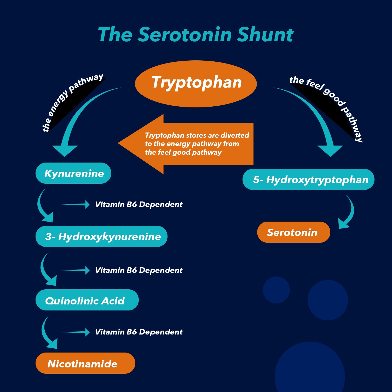 the serotonin shunt