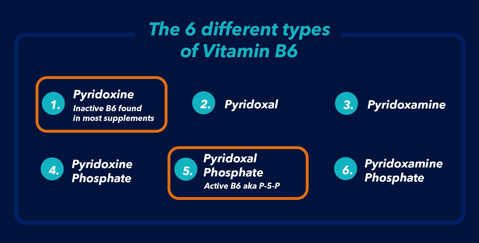 6 types of b6 vitaminers