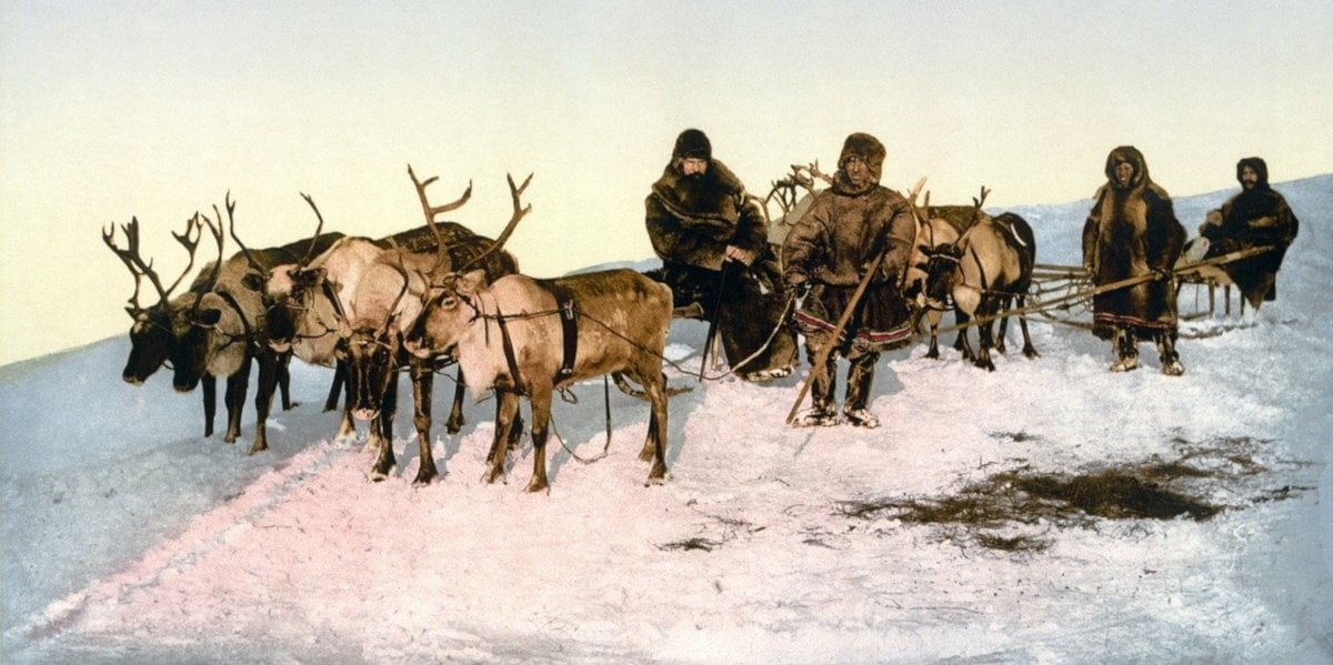 arctic tribes live on fish and seafood
