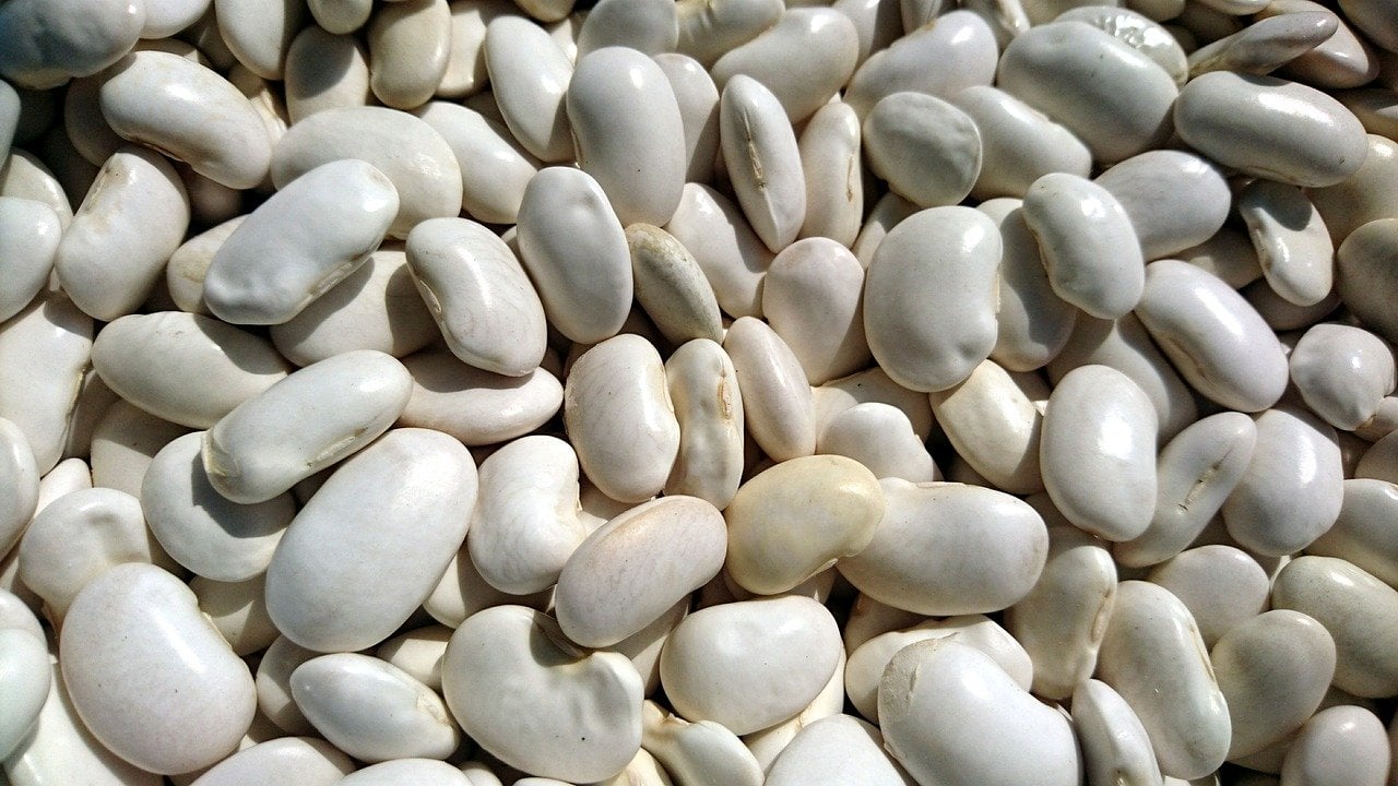 White beans are a good source of phosphatidylserine