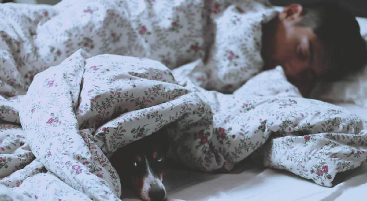get enough quality sleep
