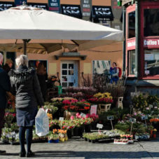 Old couple in front of a flower shop