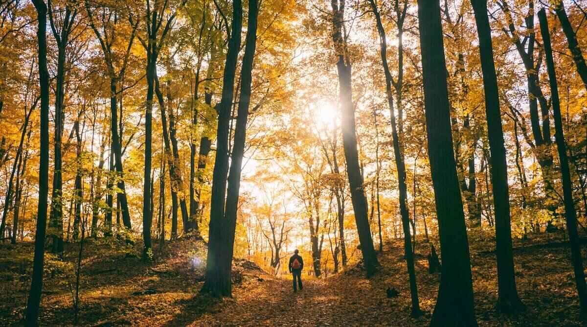 Go hiking and take nature walks to enjoy the gorgeous autumn scenery