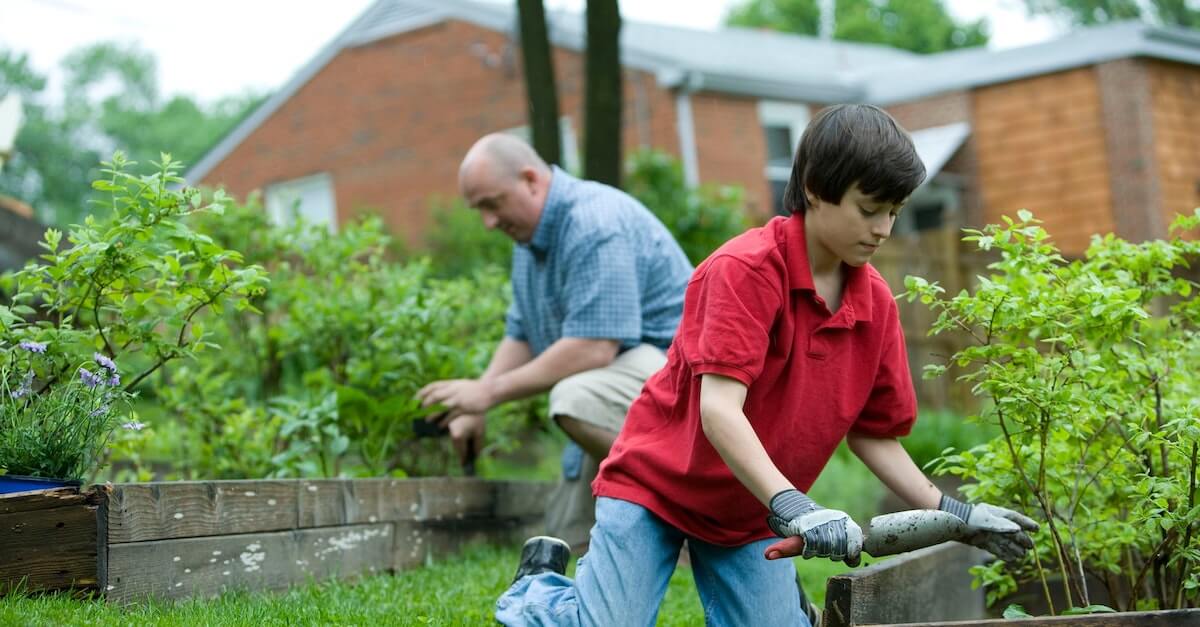 Aprender algo novo enquanto estiver a visitar familiares durante as festividades
