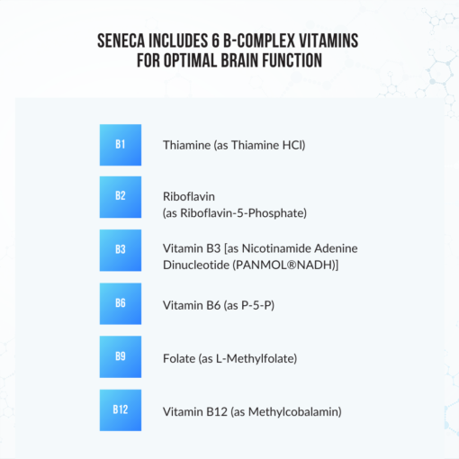 Seneca nootropic complex