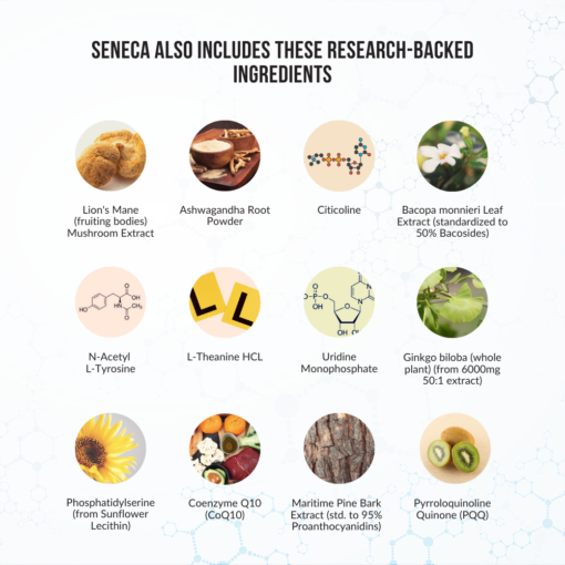 Seneca nootropic complex