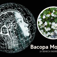 featured image for article on bacopa monnieri