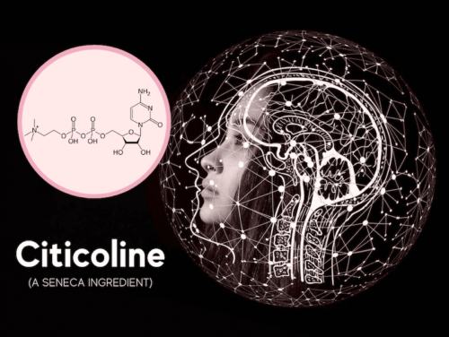 featured image for article on citicoline, a seneca ingredient