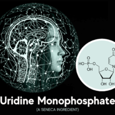 featured image for article on uridine monophosphate