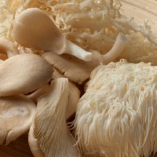 featured image for cornerstone article on lion's mane mushrooms