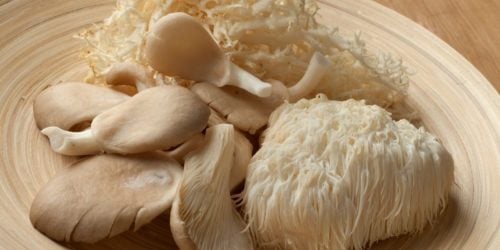 featured image for cornerstone article on lion's mane mushrooms