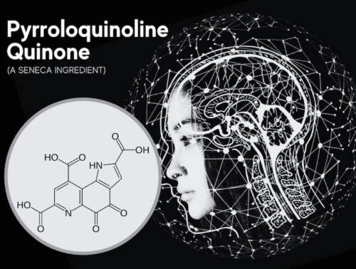 featured image for article on PQQ or pyrroloquinoline quinone, a seneca ingredient