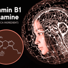 featured image for article on vitamin b1 thiamine