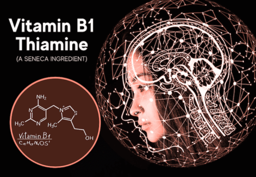 featured image for article on vitamin b1 thiamine