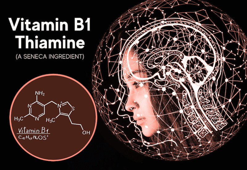 Thiamine (Vitamin B1) A Potent Energy Booster! Intelligent Labs