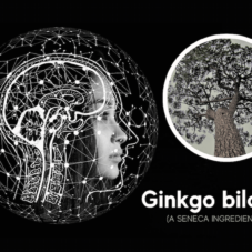 featured image for article on ginkgo biloba benefits