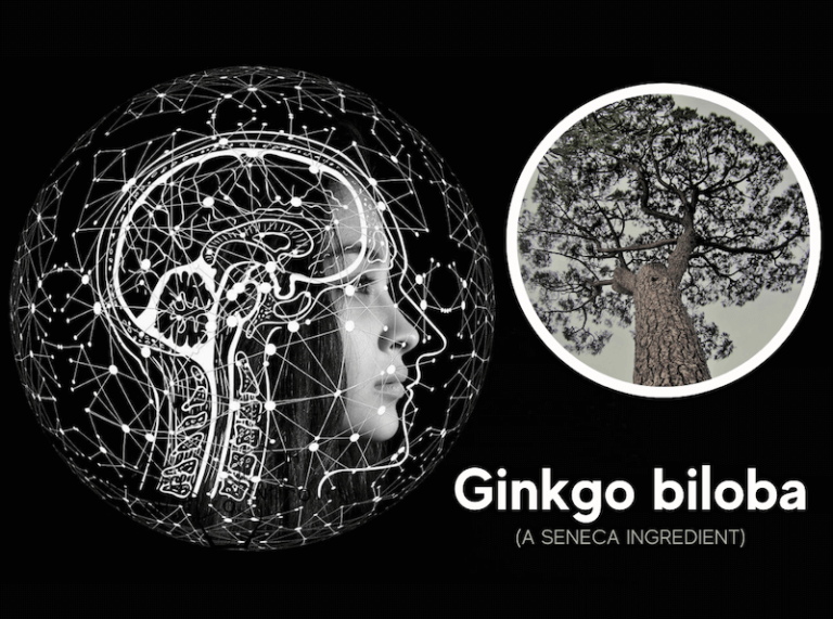What Does Science Say About Ginkgo Biloba's Benefits? Intelligent Labs