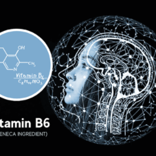 featured image for seneca nootropic article on vitamin b6 Pyridoxal 5 Phosphate