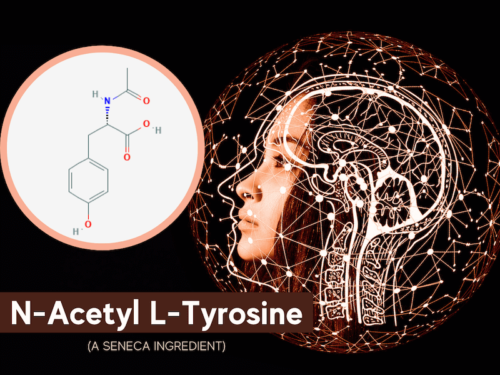 featured image for article on n-acetyl l-tyrosine, a seneca nootropic ingredient