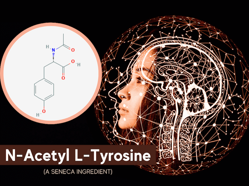 What Is NAcetyl LTyrosine (NALT)? Intelligent Labs