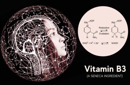 featured image for article on vitamin b3 nadh