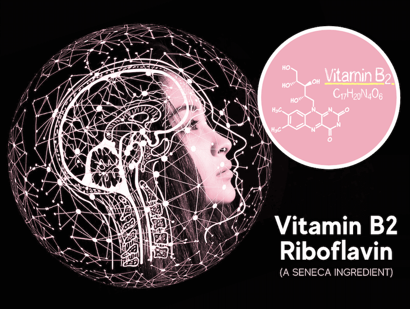 featured image for article on riboflavin vitamin b2, a seneca nootropic ingredient