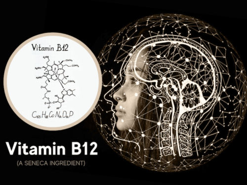 featured image for seneca ingredient vitamin b12 cobalamin