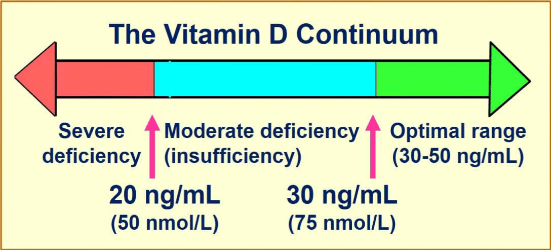 the vitamin d continuum