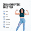 Collagen peptides