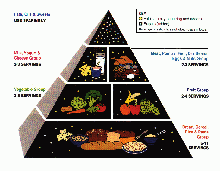 the USDA food pyramid