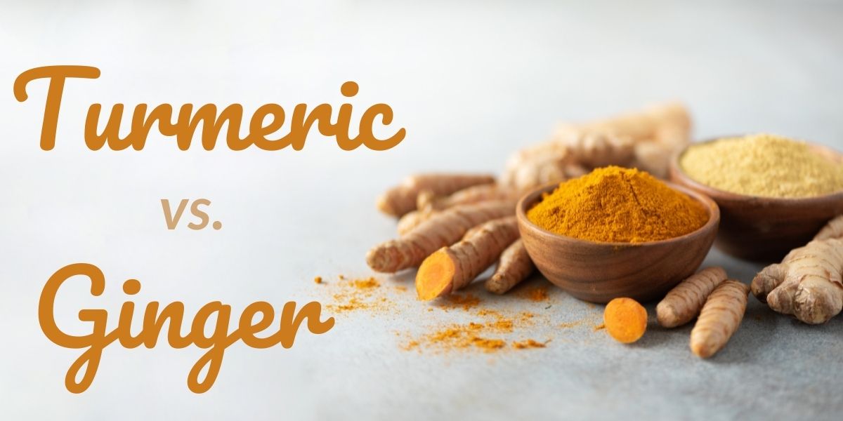 Turmeric vs Ginger Health Benefits Intelligent Labs