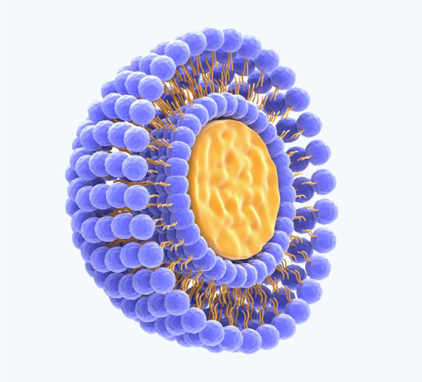 liposomal-vitamin-c-06