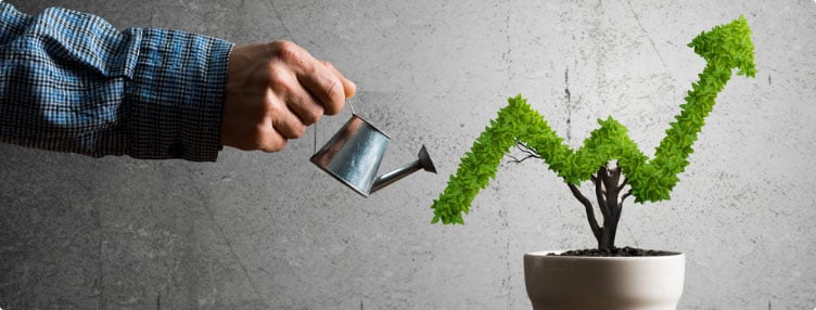 Picture of a hand watering a plant that looks like an arrow pointing up