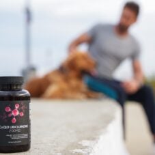 featured image for blog post on the best coq10 supplement ultimate guide