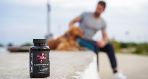 featured image for blog post on the best coq10 supplement ultimate guide